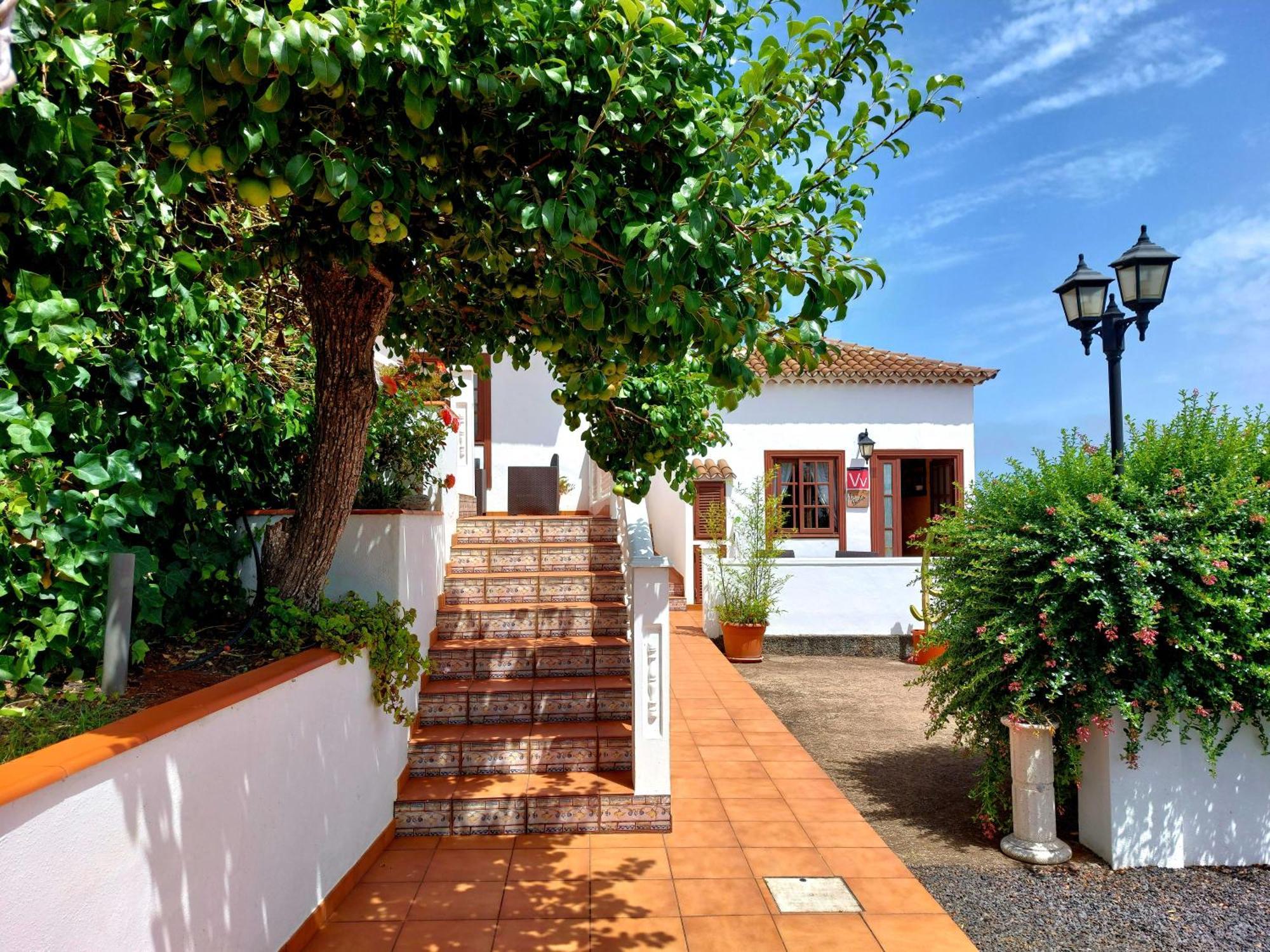 La Roseta Villa บาร์โลเวนโต ภายนอก รูปภาพ