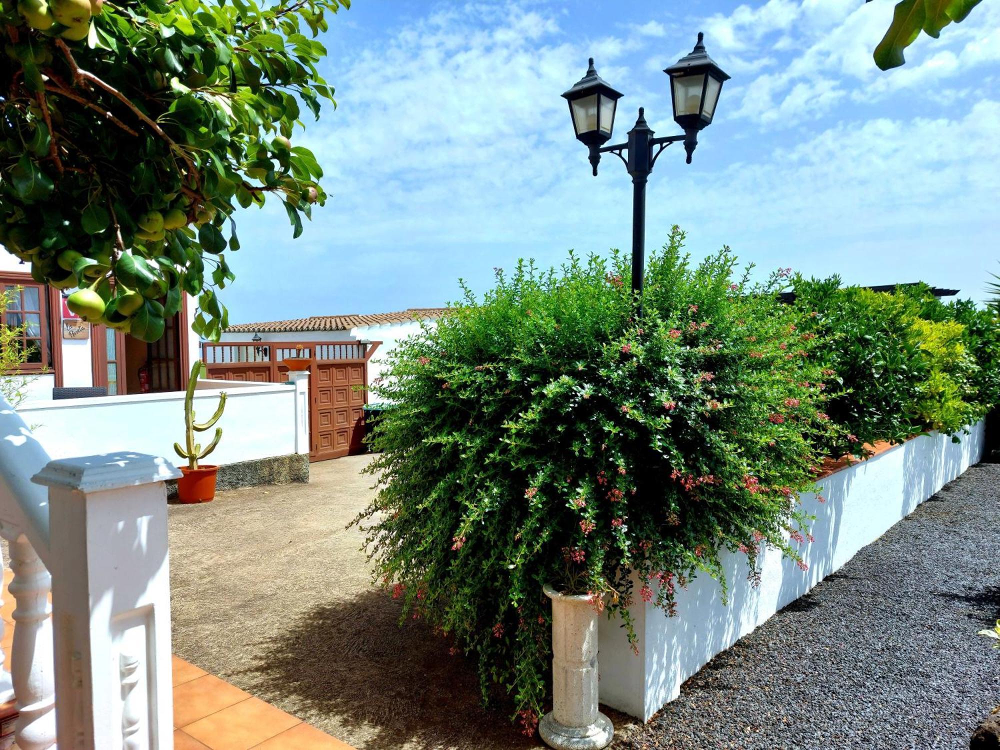 La Roseta Villa บาร์โลเวนโต ภายนอก รูปภาพ